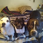 Scott Sheaffer - Facebook