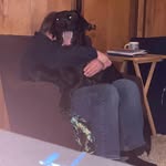 Scott Sheaffer - @scott_sheaffer - Instagram