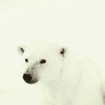 Scott Shearer - @scott_shearer12345 - Instagram