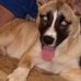 Scott Sheffer - Facebook
