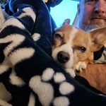 Scott Alan Shenk - @shenkscott - Instagram