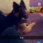 scott sherlock - @sherlock9198 - Instagram