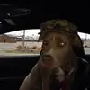Scott Shiffer - @scottshiffer - TikTok