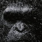Scott Shifter - @scottshifter - Instagram
