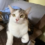 Scoty Shipley - @scott_shipley - Instagram