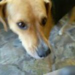 Scott Shimer - @shimerscott - Instagram