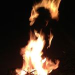 Scott Shimmin - @shimmdog74 - Instagram