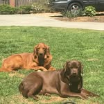 scott_shipp - @scott_shipp - Instagram