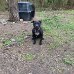 Scott Shipp - @outlaw_kingz05 - Instagram