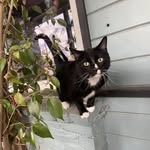Scott Shipp - @tlbwolfpack - Instagram