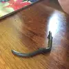 lizardlover2 - @scotts_house - TikTok