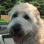 Scott Shragg - @scott_shragg - Instagram
