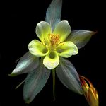 Scott Shuey - @scottshueyphotography - Instagram