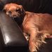 Scott Shupe - Facebook