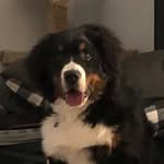 Scott Sides - @koolsides - Instagram
