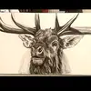 Scott Siebert - @scott.siebert - TikTok