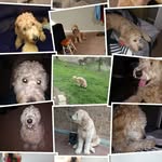 Scott Siemer - @scott.siemer1 - Instagram