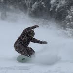 Scotty Sieverts - @scottysieverts - Instagram