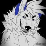 Foxwhite Scott Siff - @scott_siff_wolfwhite - Instagram