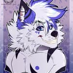 Scott Siff Wolfwhite - @scottwolfwhite207 - Instagram