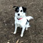 Scotty Simonton - @scotty.ss77 - Instagram