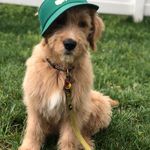 Scott Sineath - @scottsineath - Instagram
