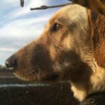 Scott Sines - @sinesscott - Instagram