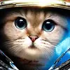 scottsingletary93 - @scottsingletary93 - TikTok