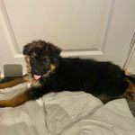Scott singleton - @scottsingleton__ - Instagram