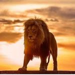 Scott Sisk - @scott.sisk.90 - Instagram