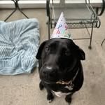 Scott Sizemore - @scott63452 - Instagram