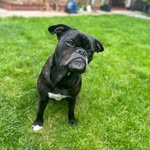 Luna Moon Reeve Scott-Slaney 🌙 - @livingwithluna101 - Instagram