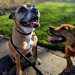 Scott Slaney - @slaney3006 - Instagram