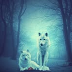 Scott Slayton - Facebook