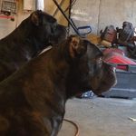Scott Sligar - @scott.c72 - Instagram