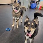 Scott Sonderman DPT - @scottsonderman_ - Instagram