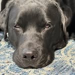 Scott Sorrells - @scottsorrells - Instagram