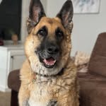 Scott Souter - @grevista - Instagram