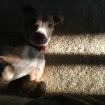 Scott Sowards - @hiyapeeps16 - Instagram