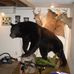 Scott Spaeth - Facebook