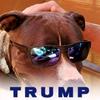 scottspear975 - @scottspear76 - TikTok