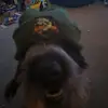 Scott Pinkney - @scott.pinkney2 - TikTok