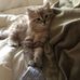 Berna Ann Heilmann Spivak - Facebook
