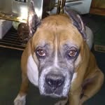 Scott Spohn - @scott.spohn.7 - Instagram