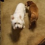 Scott A. Sponseller - @ssponzie1 - Instagram