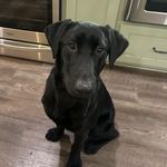 Scott Spry - @spry.scott - Instagram
