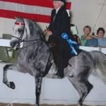 Scott Golladay Stables - @scottgolladaystables - Instagram