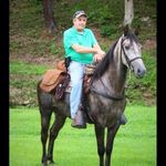 Scott Lyon Stables - @scott.stables - Instagram