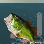 Scott Stack - Facebook