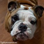 Scott Staley - @ifsphotoservices_ - Instagram